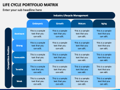 Lifecycle Portfolio Matrix PowerPoint and Google Slides Template - PPT ...