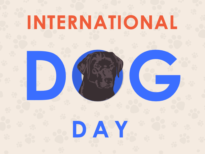 Free International Dog Day PowerPoint Template and Google Slides Theme