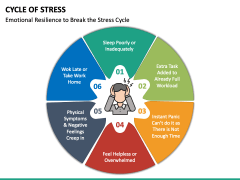 Cycle of Stress Free PPT Slide 2