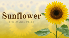Sunflower Theme PPT Slide 1