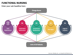 Functional Nursing PPT Slide 3