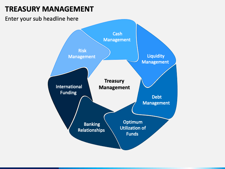 powerpoint presentation on treasury management
