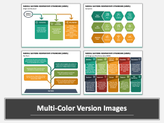 Middle Eastern Respiratory Syndrome (MERS) PPT Multicolor Combined