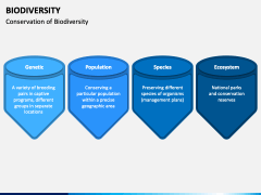 Biodiversity PowerPoint And Google Slides Template - PPT Slides