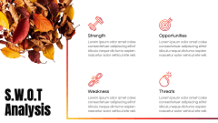 Dry Leaves Presentation Theme PPT Slide 6