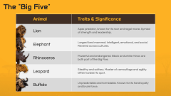 Safari Theme PPT Slide 6