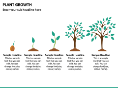 Plant growth free PPT Slide 2