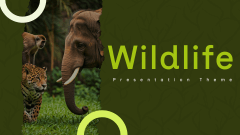 Wildlife Presentation PPT Slide 1
