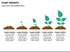 Plant Growth PowerPoint and Google Slides Template - PPT Slides