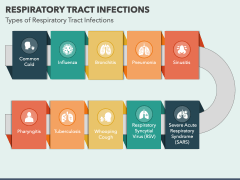 Respiratory Tract Infections PowerPoint And Google Slides Template ...