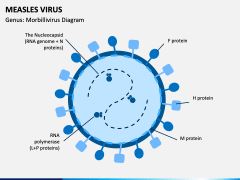 Measles Virus PowerPoint and Google Slides Template - PPT Slides