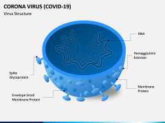 Corona Virus - Covid 19 PPT Slide 2