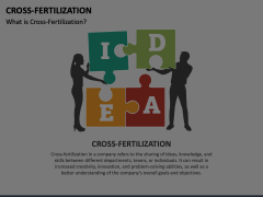 Cross-Fertilization Animated Presentation - SketchBubble