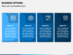 Business Options PPT Slide 3