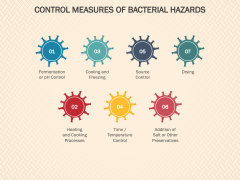 Bacterial Hazards PPT Slide 5