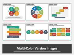 Experience Economy Multicolor Combined