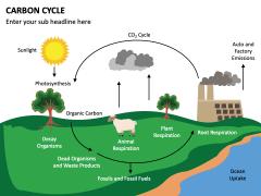 Carbon Cycle PowerPoint and Google Slides Template - PPT Slides