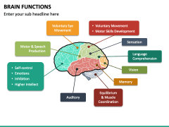 Brain Functions PowerPoint Template - PPT Slides