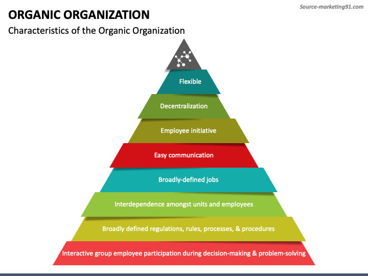 Organic Organization PowerPoint Slide 1