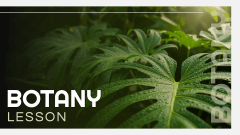 Botany Lesson Presentation PPT Slide 1