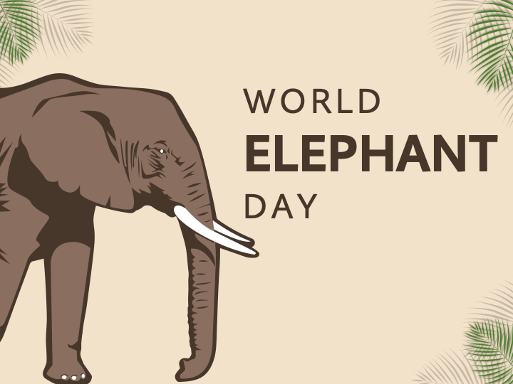 World Elephant Day PPT Slide 1