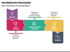 Information Processing PowerPoint and Google Slides Template - PPT Slides