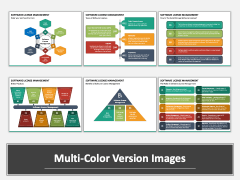 Software License Management Multicolor Combined