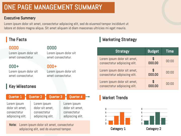 One Page Management Summary PPT Slide 1