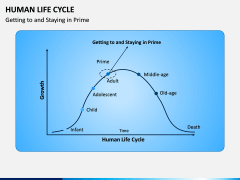 Human Life Cycle PPT Slide 5