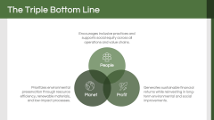 Sustainable Entrepreneurship PPT Slide 3