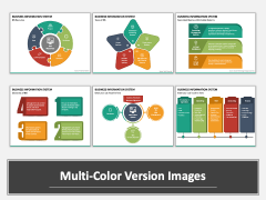 Business Information System PPT Multicolor Combined