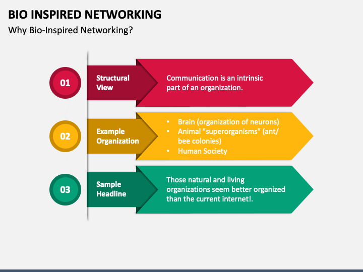 Bio Inspired Networking PowerPoint Template - PPT Slides