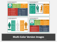 Customer Demographics PPT Multicolor Combined