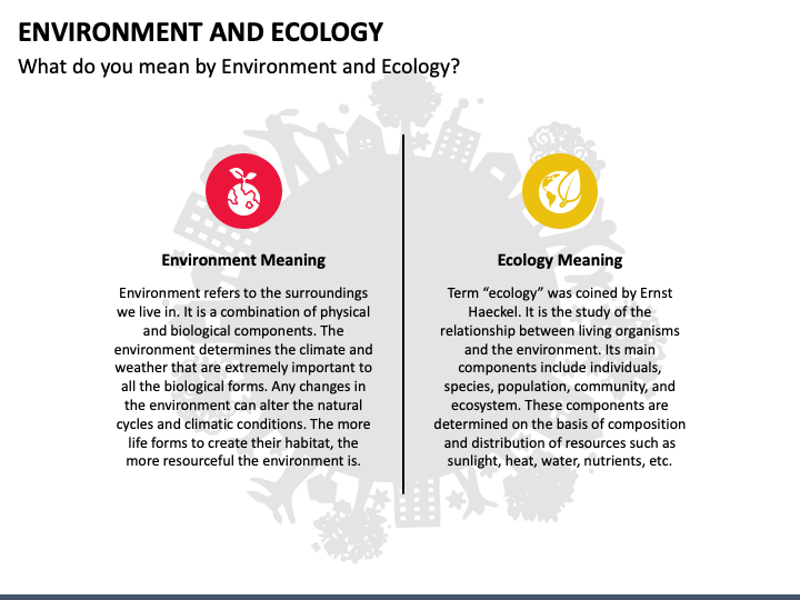 Environment and Ecology PPT Slide 1