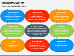 Endocrine System PowerPoint And Google Slides Template - PPT Slides