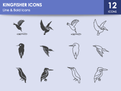 Kingfisher Icons PPT Slide 1