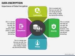 Data Encryption PowerPoint and Google Slides Template - PPT Slides