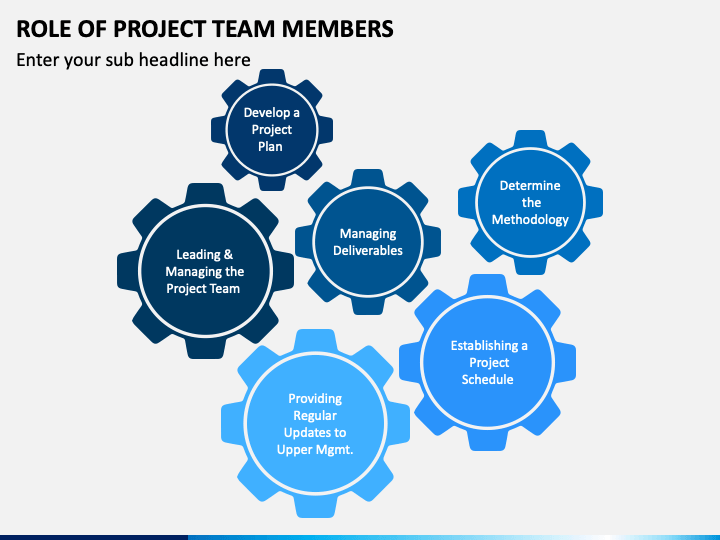 Role Of Project Team Members