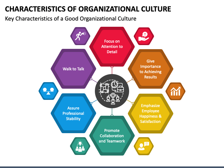 what are the characteristics of culture