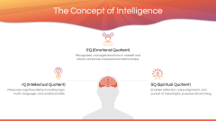 Spiritual Intelligence PPT Slide 3