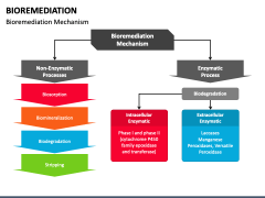 Bioremediation PowerPoint And Google Slides Template - PPT Slides