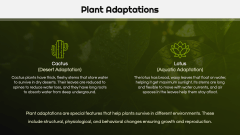 Botany Lesson Presentation PPT Slide 8