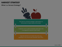 Harvest Strategy Animated Presentation - SketchBubble