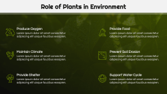 Botany Lesson Presentation PPT Slide 9