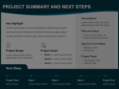 Project Summary and Next Steps Animated Presentation - SketchBubble