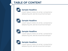 Organization Infographic PPT Slide 2