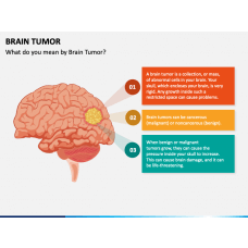 Brain PowerPoint & Google Slides Templates