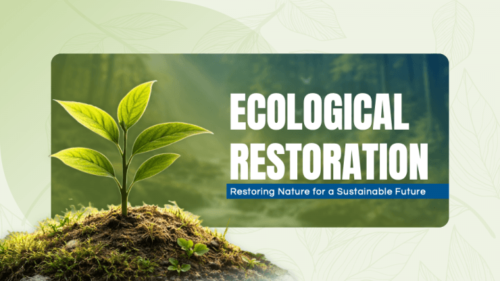Ecological Restoration PPT Slide 1