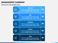 Management Summary PowerPoint and Google Slides Template - PPT Slides