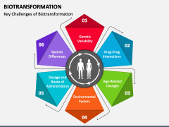 Biotransformation PowerPoint Template and Google Slides Theme